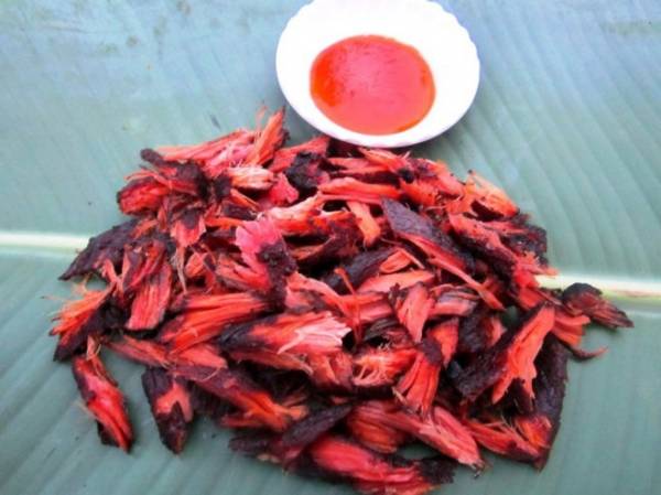 Món ‘mực rừng’ Tây Bắc độc đáo
